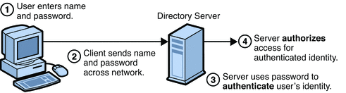 Password Authentication